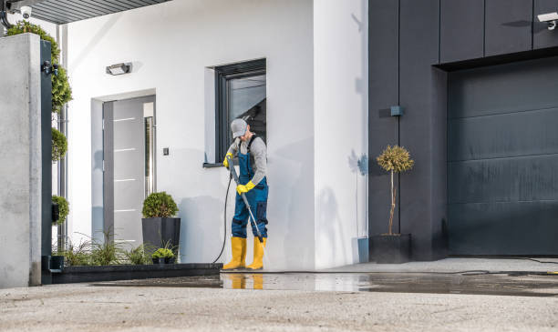 Best Animal Enclosure Cleaning  in Miller Place, NY